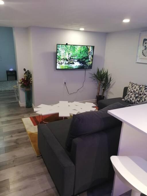 Cozy Nest Basement Unit Apartment Hamilton Ngoại thất bức ảnh