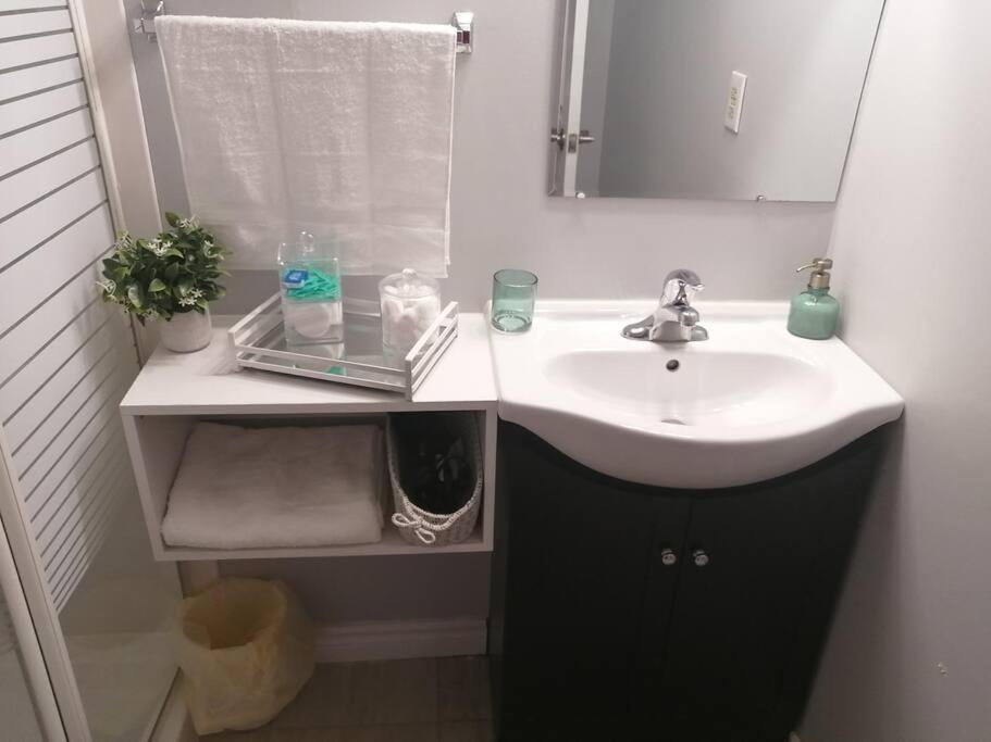 Cozy Nest Basement Unit Apartment Hamilton Ngoại thất bức ảnh
