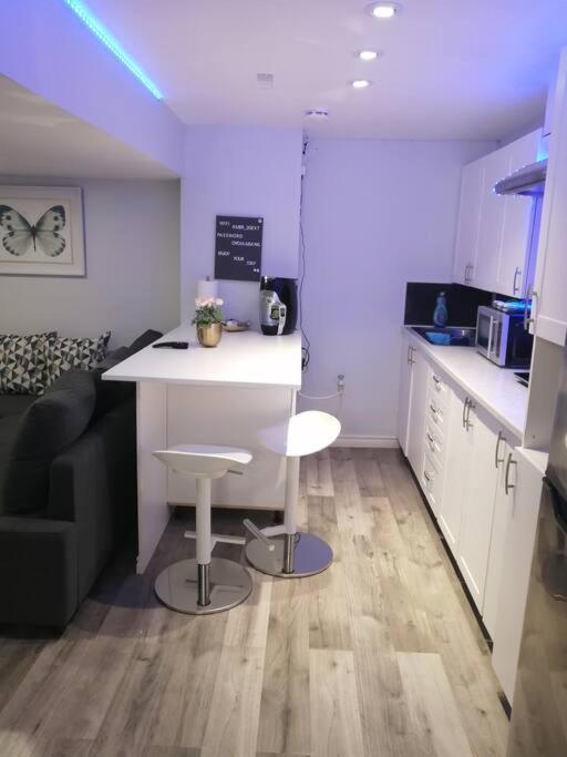 Cozy Nest Basement Unit Apartment Hamilton Ngoại thất bức ảnh