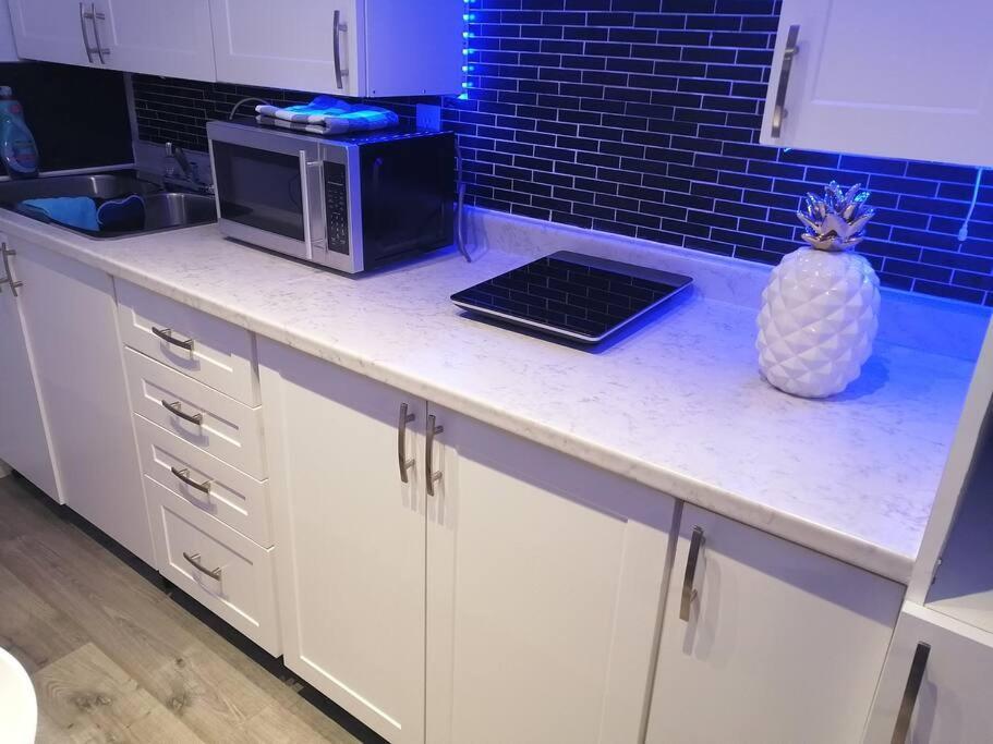 Cozy Nest Basement Unit Apartment Hamilton Ngoại thất bức ảnh
